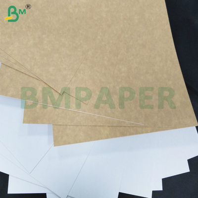 260gsm Heat Resistant PET Coated Oven Paper Rolls for Toasting