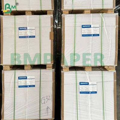 260gsm Heat Resistant PET Coated Oven Paper Rolls for Toasting