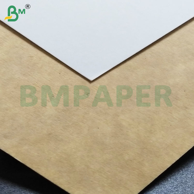 260gsm Heat Resistant PET Coated Oven Paper Rolls for Toasting