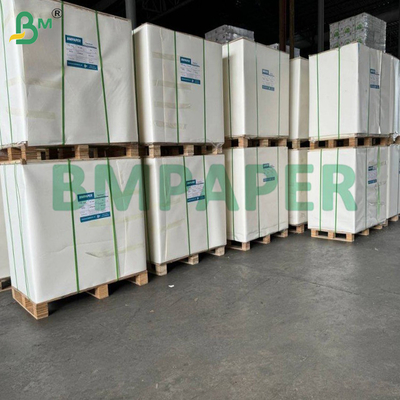 270g + 18g FSB Cupstock Paper With PE Coating For Barrier Properties