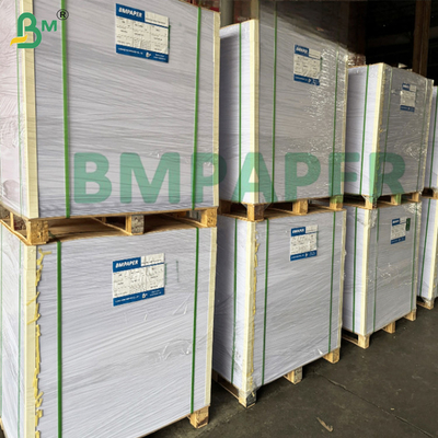 250gsm Aqueous Cup Base Paper Water Based Plastic Free Food Grade
