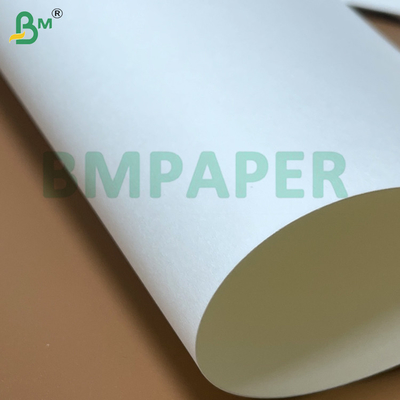 PE Coated Non Toxic Eco-Friendly  Good Malleability Waterproof Cup Paper Sheets For Cup