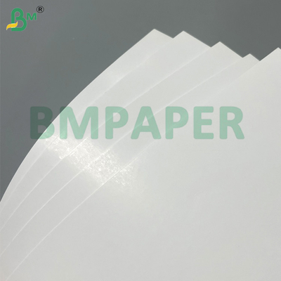 Moisture Resistant High Extensible Food Grade 250gsm 275gsm White Cardboard for  Frozen Food Packaging