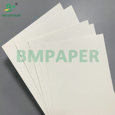 Single-sided PE coating 18gsm 190gsm 210gsm Paper Cup Material For Coffee Cups