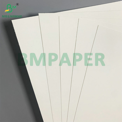 Single-sided PE coating 18gsm 190gsm 210gsm Paper Cup Material For Coffee Cups