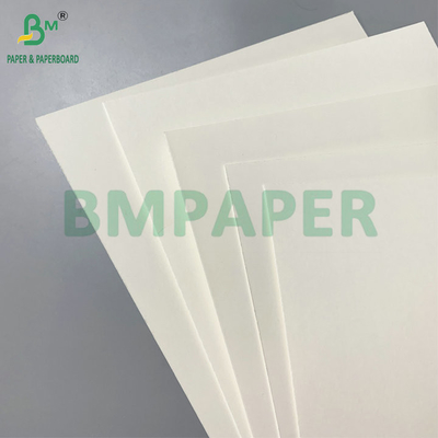 Single-sided PE coating 18gsm 190gsm 210gsm Paper Cup Material For Coffee Cups