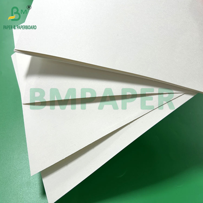 240gsm 260gsm White Printable Cupp1s Paper For Making Cups 700mm 800mm