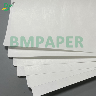 1073B 1059B White Heat Sealable High Bacterial Barrier Dupont Paper for Medical Device Blister Packaging