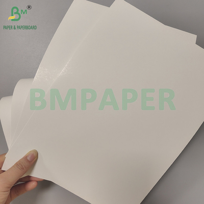 210-355gsm One Side Coated Food Grade White Greaseproof Card Kit7