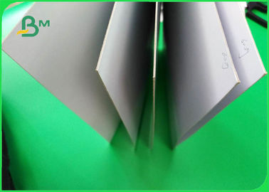 800gsm Double Sided White Coated Duplex Board For Carton Box Making