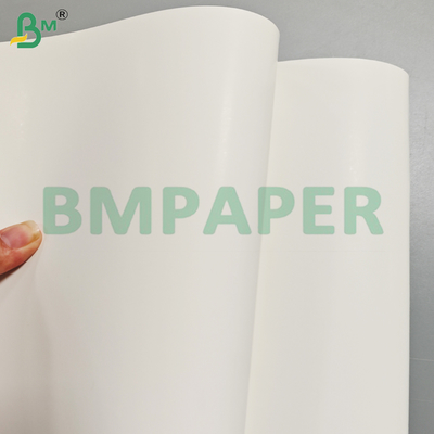 325Gsm One Side Coated SBS Ivory Cardboard for Carton Making