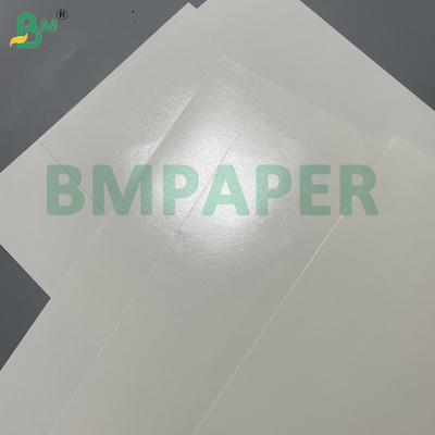 240gsm+15gsm High Strength Glossy Paper Bowl Paper For Hot Drink Hot Food Packaging Bowl