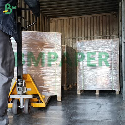 Food To Go Bowl Use Kraft Paper One Side PE Coating Leak - Proof