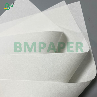 20gram 25gram 33gram 50gram Crepe Finish Food Grade Coffee Filter Paper