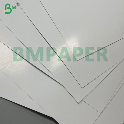 300g C2S Glossy Coated Digital Printing Paper In Roll For  High - End Brochures & Catalogs
