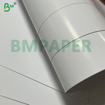 300g C2S Glossy Coated Digital Printing Paper In Roll For  High - End Brochures & Catalogs
