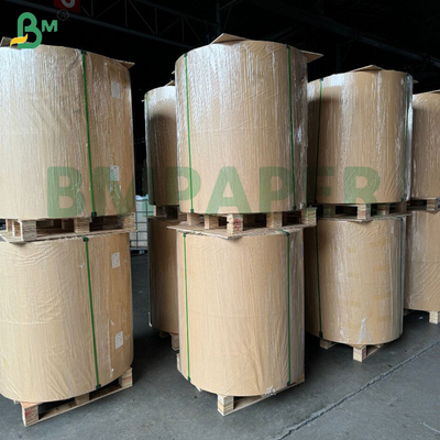300g C2S Glossy Coated Digital Printing Paper In Roll For  High - End Brochures & Catalogs