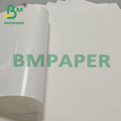 370 x 500mm Smooth Surface Bleached Pe Coated Paper For Gift Bag