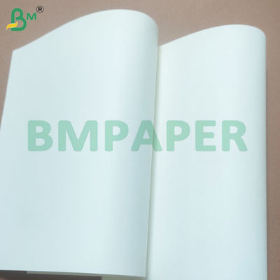 70gsm 75gsm Good Print Effect Wood-free Paper Rolls for Printing