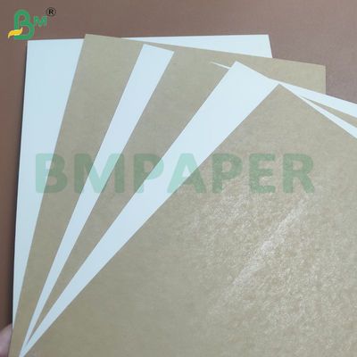 220+10 Gsm PE Coated Leak-proof Food Grade Cup Stock Paper Rolls
