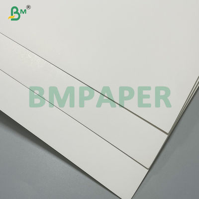 Food Grade FDA 240gsm Waterproof Bleached Cup Base Paper