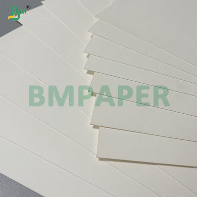 Food Grade FDA 240gsm Waterproof Bleached Cup Base Paper