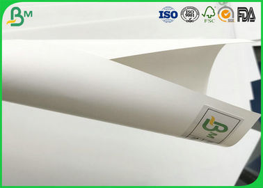 Tear Resistance 350gsm Double Side White Stone Paper For Packages