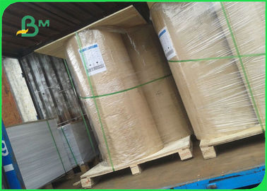 250 300 350GSM Top Side Coated Duplex Board Gray Back
