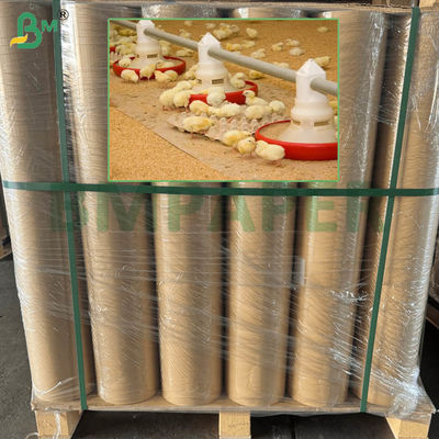 90gsm Absorbent Kraft Paper Thick Chickpaper Specialized For Hens Rearing 74cm 90cm