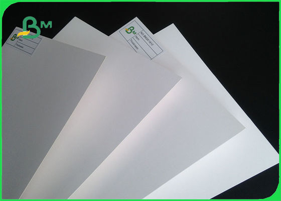 230gsm - 400gsm ISO Certification C1S Coated Paper Ivory Board Paper In Jumbo Roll