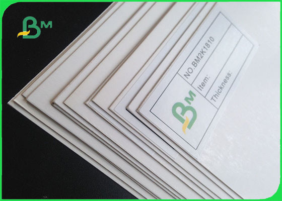 230gsm - 400gsm ISO Certification C1S Coated Paper Ivory Board Paper In Jumbo Roll
