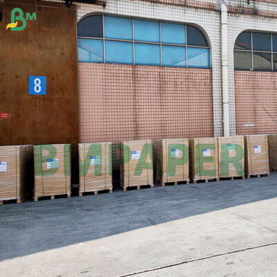 Non-Stick Cupcake Liners For Baking Colorful Greaseproof Parchment Muffin Liner Paper