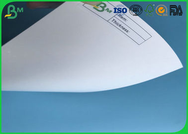 FSC Certificted 200g 250g 300g 350g 400g 450g Glossy FBB Board For Packing Boxes