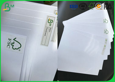 FSC Certificated 180g 200gsm 250gsm 280g 300gsm C1S Glossy Photo Paper Sheets For Printing