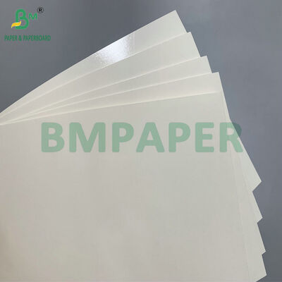 250g 280g PET Coated Oilproof Food Grade Paper For Making Lunch Box