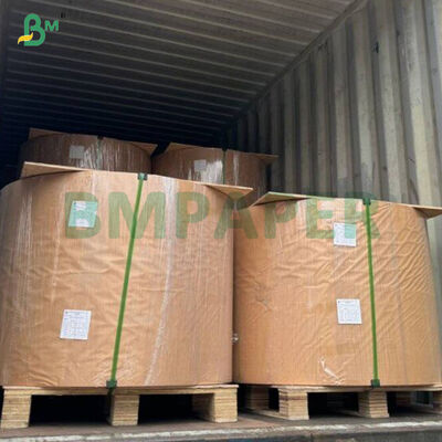 40gsm Colorful Food Grade Cupcake Baking Paper Roll
