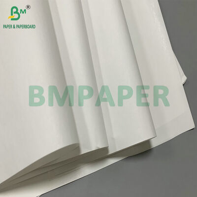 48gsm 640mm Jumbo Roll Thermal Paper For Carton Sticker Label