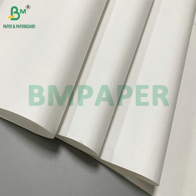 48gsm 640mm Jumbo Roll Thermal Paper For Carton Sticker Label