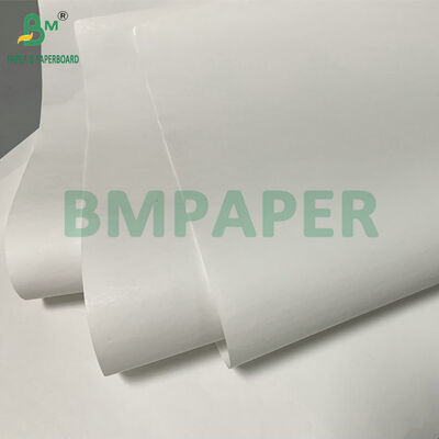 48gsm 640mm Jumbo Roll Thermal Paper For Carton Sticker Label
