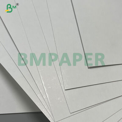 300 310 320grams  High Stiffness C2S Gloss Couche Grew Core Paper  
