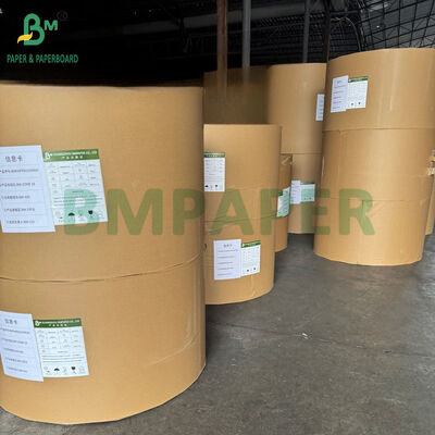 40gsm +15PE White Grease Proof PE Coated Paper For Food Package 70cm 80cm