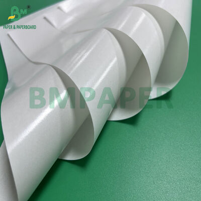 40gsm +15PE White Grease Proof PE Coated Paper For Food Package 70cm 80cm