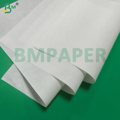 High Oil Absorption Doilies Paper Raw Material Paper 50gsm White Color