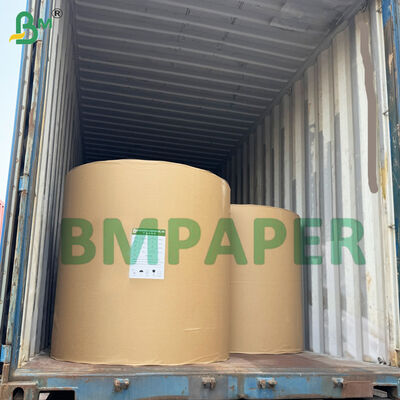 High Oil Absorption Doilies Paper Raw Material Paper 50gsm White Color