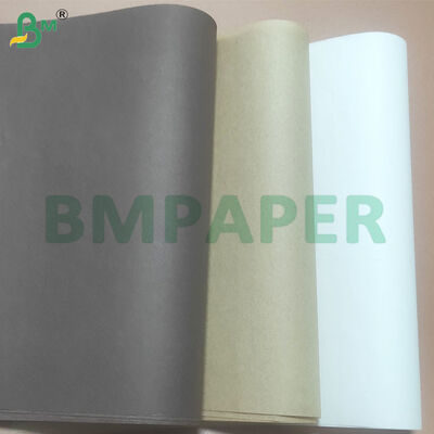 50gsm Oil-resistant Food Grade Baking Paper Rolls 787mm Roll Width