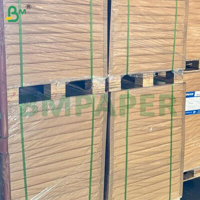 50gsm Oil-resistant Food Grade Baking Paper Rolls 787mm Roll Width