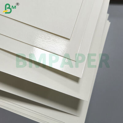 PET Coating Dining Plate Paper Material White Color Food Tray Paper