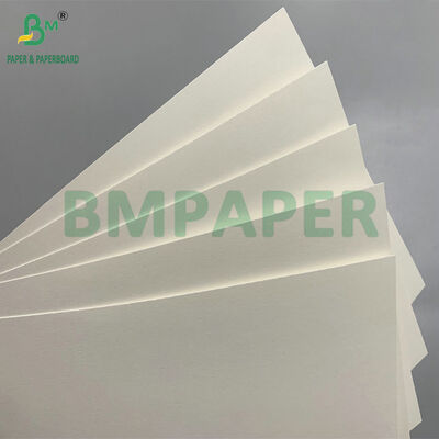 210 GSM Natural Kraft PE Coated Biodegradable Paper for Cold Cups - Compostable