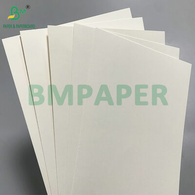 210 GSM Natural Kraft PE Coated Biodegradable Paper for Cold Cups - Compostable