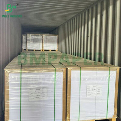 Kit 5 Food Grade 40gsm Greaseproof Paper Roll 840mm for Wrapping Fast Food